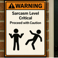 Sarcasm Level Critical Funny Warning Sign 13x19 Laminated Print Humor Wall Art Office Decor Gift for Coworkers Sarcastic Personality Sign
